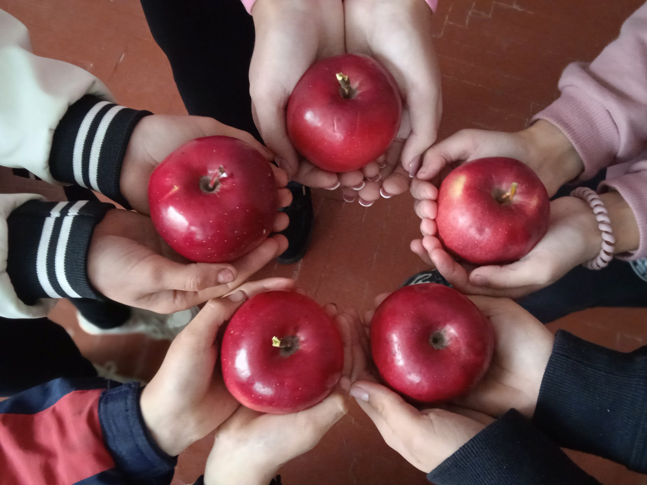 🍎🍏🤚🍂 21 жовтня – Всесвітній день яблук!