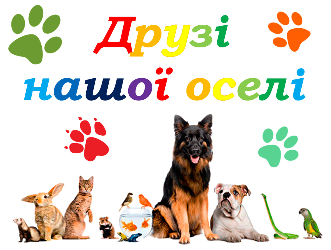 30 листопада- Всесвітній день домашніх тварин